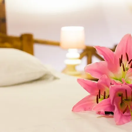 Bajka Konukevi Zlatibor